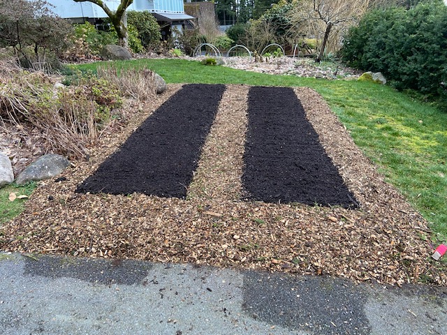 the finished garden beds