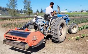 Flail mower