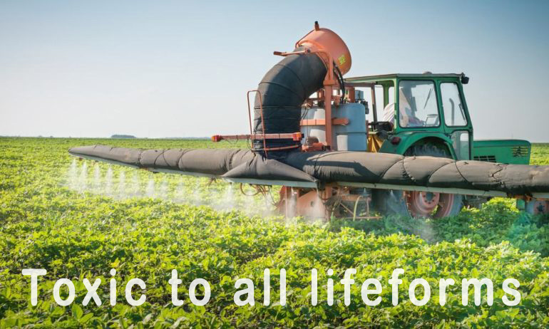 Pesticides are toxic