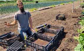3-cauliflower-thumb Seeding cauliflower