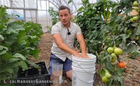 4-bokashi-thumb Bokashi composting