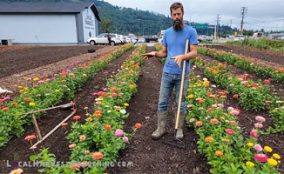 6-garden-thumb Create a fertile garden